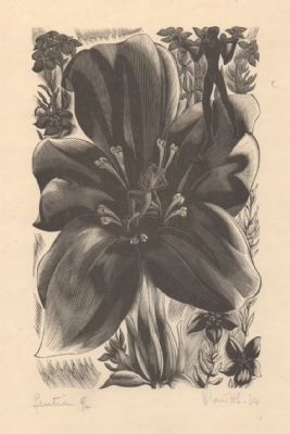 Gentian From The Ship of Death