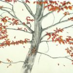 ALI MORGAN - Spring - Summer - Autumn - Winter - Forty Tree Drawings Autumn 07