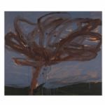 Wind-Torn Tree - 