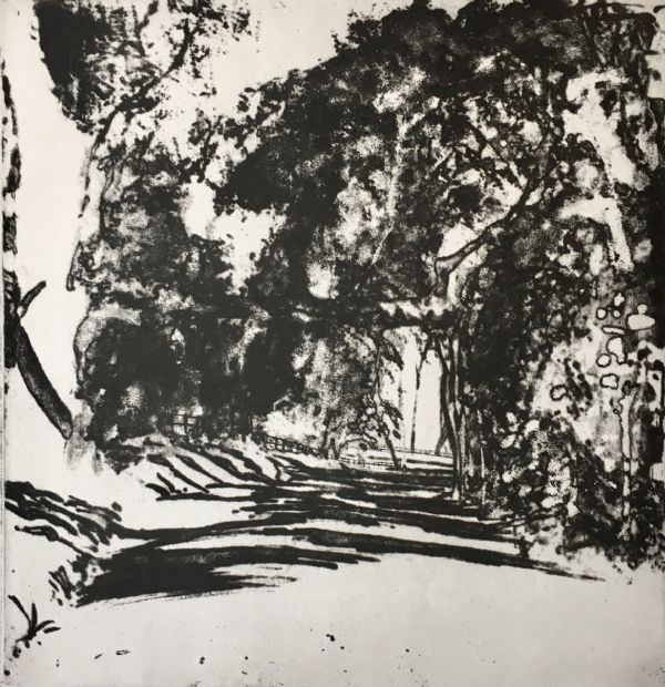 01. Norman Ackroyd, Study of Trees in Sunlight