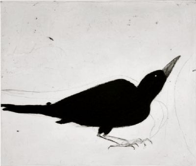 Kate Boxer, Crow 6/30 - 