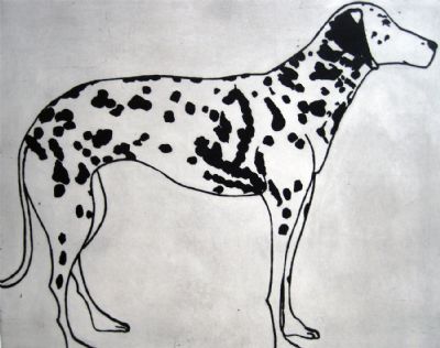 Kate Boxer, Dalmation 11/30 - 