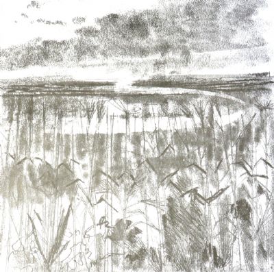 Melvyn King, Oakley Marsh - 