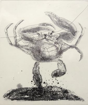Roger Law, Dancing Crab - 