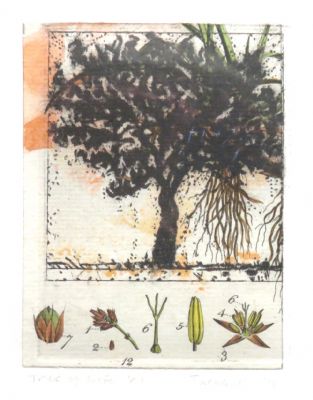 Alan Turnbull, Tree of Life VI - 