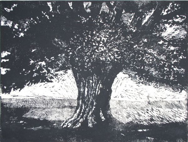 Alan Turnbull, Oak Tree in Summer