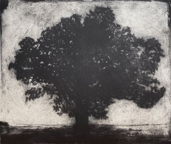 Alan Turnbull, The Oak Tree