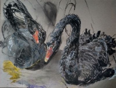 Andrea Newman 
Black Swan Pair