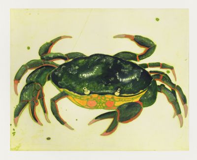 Kate Boxer, Crab