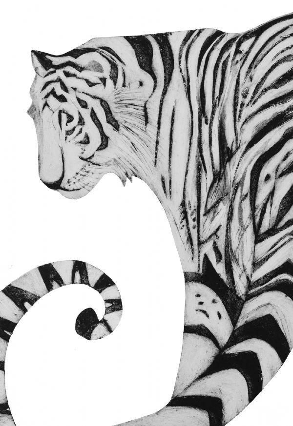 AmurTiger
