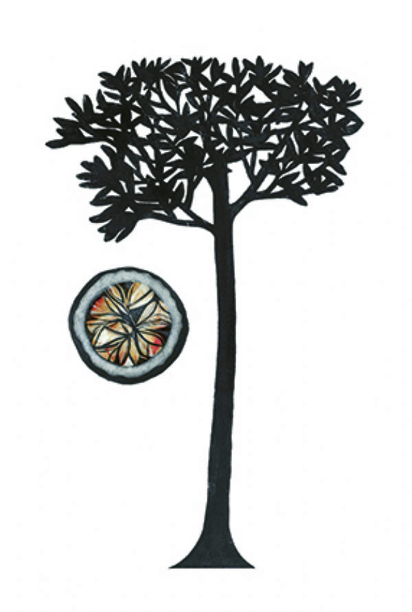 BrazilNutTree