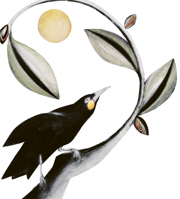 Beatrice Forshall, Huia