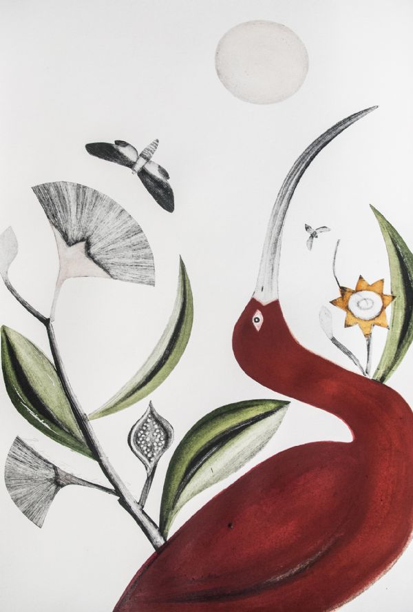 Beatrice Forshall, Mangrove