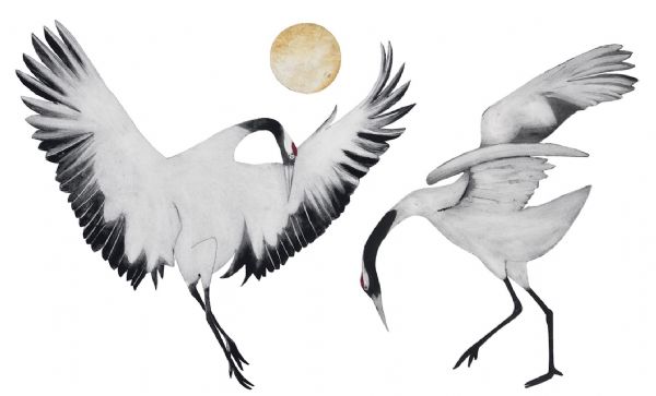 Red Crowned Cranes