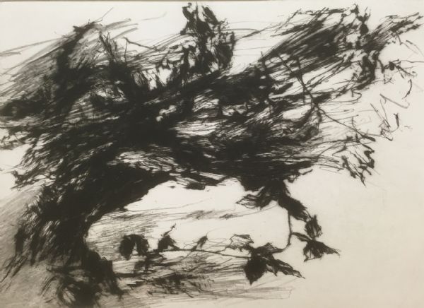 David Sully, Cold Wind.