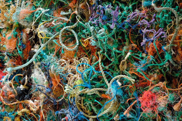 Fran Crowe, All at Sea, Rope