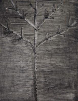 Helengai Harbottle, Bare Tree - 