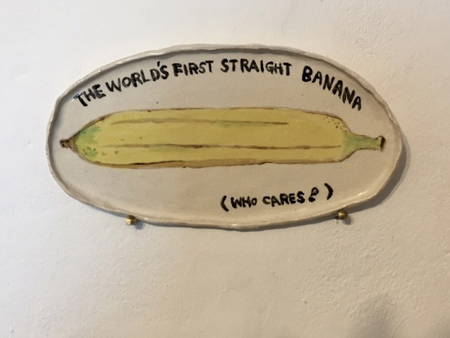 THE WORLD'S FIRST STRAIGHT BANANA