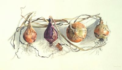 Lillias August, Four Onions