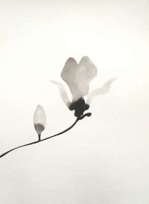 magnolia 3, ink on paper