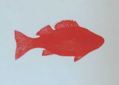 Red Perch,  Woodcut