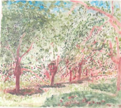 Norman Adams RA, In the Ardeche, Cherry Trees - 