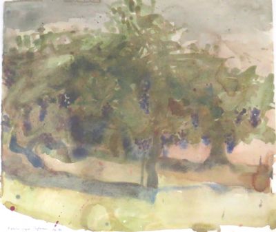 Norman Adams RA, Ripening Grapes, September - 