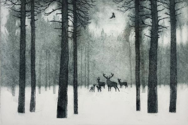 Tim Southall, Deer in Winter