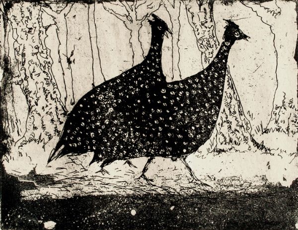 Tim Southall, Guinea Fowl