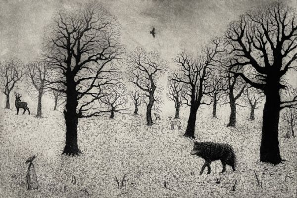 Tim Southall, Lone Wolf