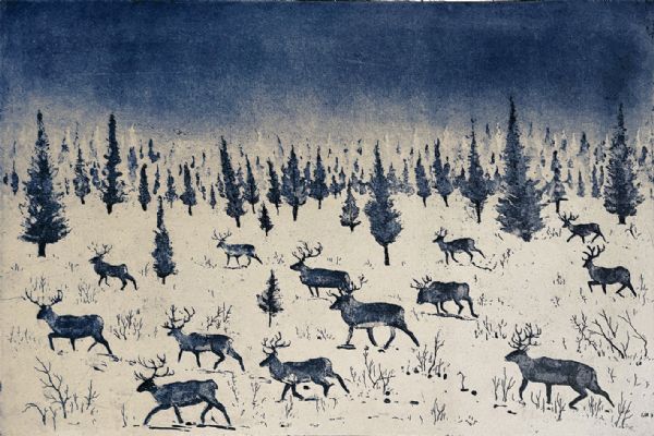 Tim Southall, Where Reindeer Roam