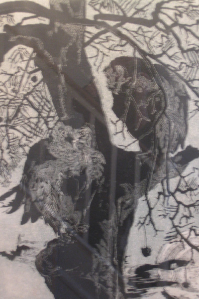 Owls 1955