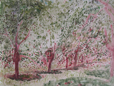 In the Ardeche - Cherry Trees