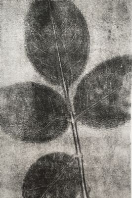 rose leaf 9, monoprint