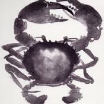 Roger Law, Dancing Crab 2, 3/15 - 