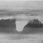 NORMAN ACKROYD CBE RA (1938 - 2024) - Memorial Show of Etchings 69. Norman Ackroyd
Puffin Island