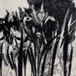 TIM SOUTHALL & ALAN TURNBULL - Danse Macabre and Other Dramas & In the Studio, Recent Etchings Alan Turnbull
Irises