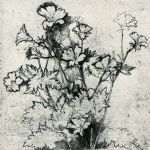 TIM SOUTHALL & ALAN TURNBULL - Danse Macabre and Other Dramas & In the Studio, Recent Etchings Alan Turnbull
Meadow Cranesbill