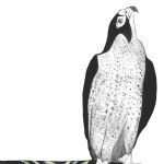 BEATRICE FORSHALL - Vanishing Species Amur Falcon