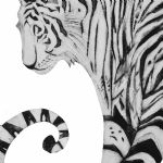 BEATRICE FORSHALL - Vanishing Species AmurTiger