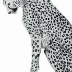 BEATRICE FORSHALL - Vanishing Species Asiatic Cheetah