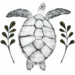 BEATRICE FORSHALL - Vanishing Species Hawksbill Turtle