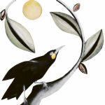 BEATRICE FORSHALL - Vanishing Species Beatrice Forshall
Huia