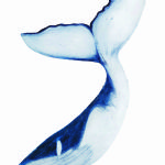 BEATRICE FORSHALL - Vanishing Species Humpback Whale