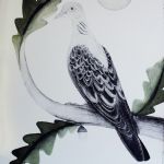 BEATRICE FORSHALL - Vanishing Species Turtle Dove