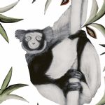 BEATRICE FORSHALL - Vanishing Species Black & White Ruffed Lemur