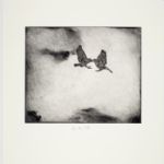 TYPOLOGIES - Monotypes by Lino Mannocci Birds