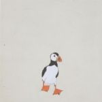 Boxer Puffin - 