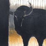 Bull with Stripey Field - 