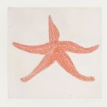 Kate Boxer, Starfish - 